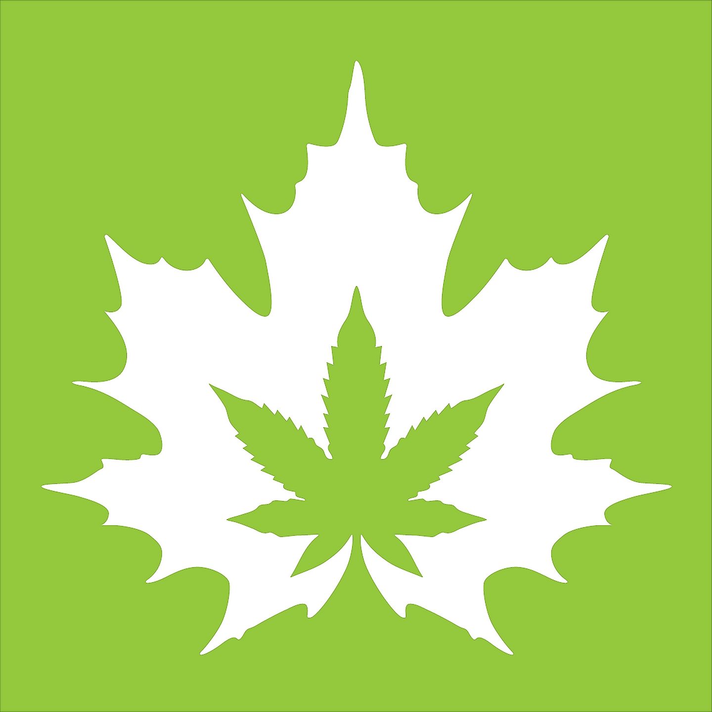 image feature The House of Cannabis - 208 Division St - Kingston - Opening Soon!