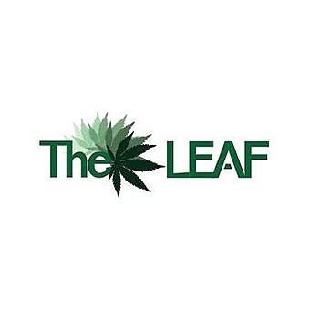 image feature The Leaf Healthy Living