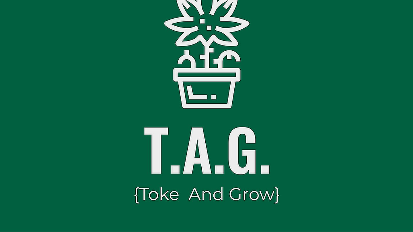 image feature Toke and Grow