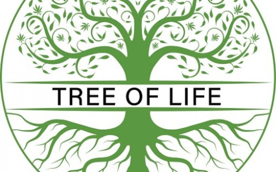 image feature Tree Of Life - N. Jones Blvd.