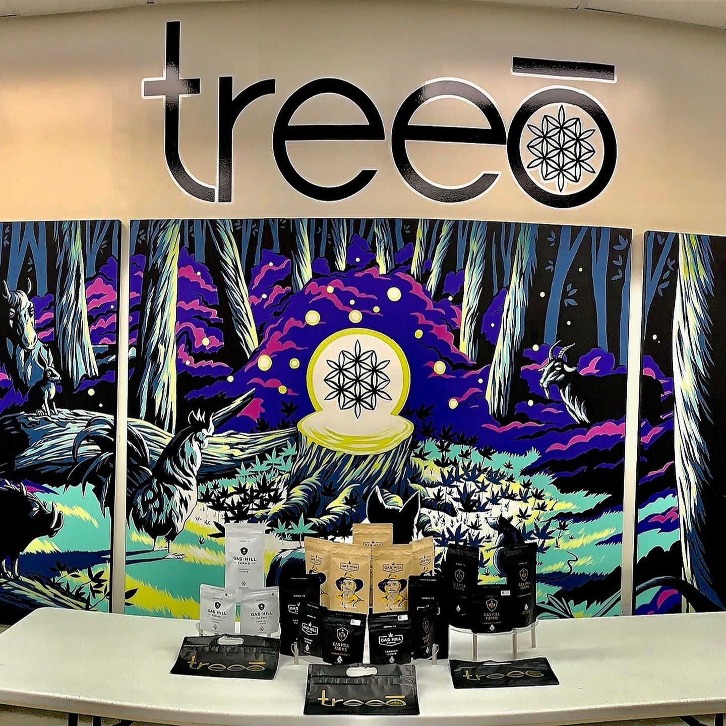 image feature Treeo