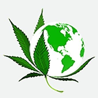 image feature UEM Cannabis - Vancouver