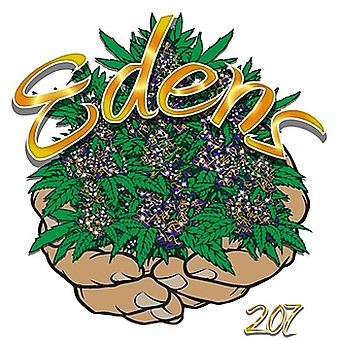 Edens 207 Delivery - Biddeford