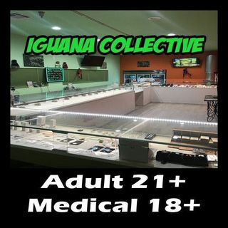 Iguana Collective