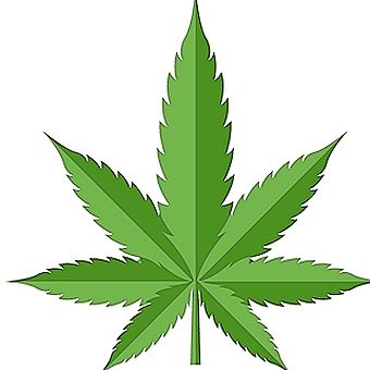 Neku Cannabis - Hamilton