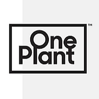 One Plant - Kingston  