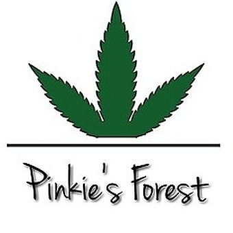 Pinkie's Forest