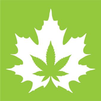 The House of Cannabis - 178 King St W - Hamilton - Opening in May 2021!