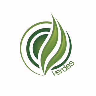 The Verdes Foundation - Albuquerque