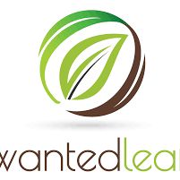 The Wanted Leaf