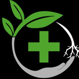 Today's Herbal Choice - Reedsport