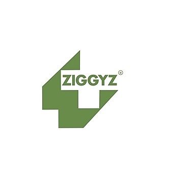 Ziggyz Plus - Edmond