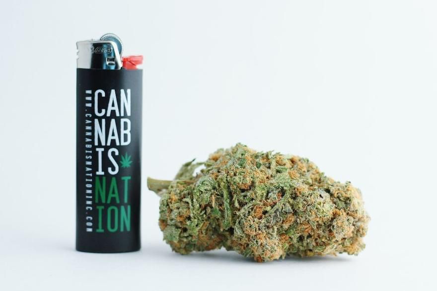 store photos Cannabis Nation Beaverton (Blooming Deals) 6