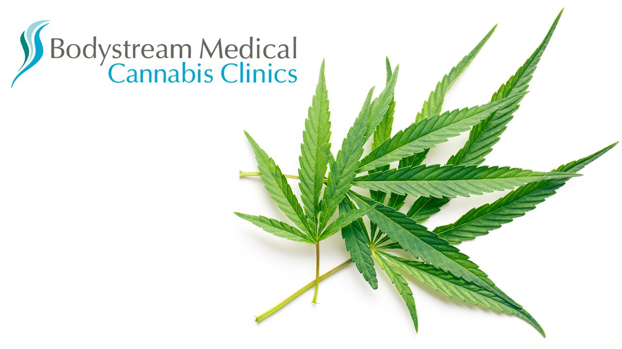 store photos Bodystream Medical Cannabis Clinic - Sudbury