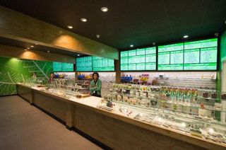 store photos Cannabis and Glass - Spokane 1