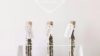 store photos Diamond Cannabis