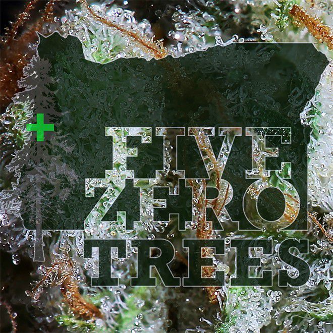 store photos Five Zero Trees East 10
