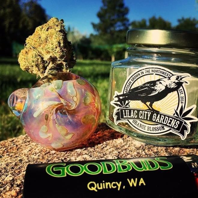 store photos GoodBuds - Quincy 7