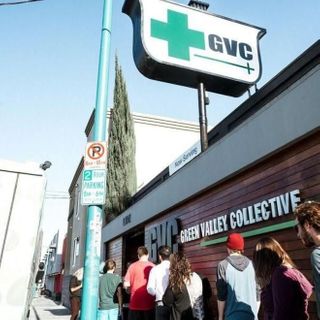 store photos Project Cannabis NOHO