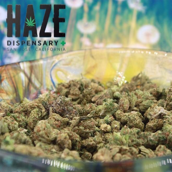 store photos Haze Dispensary - San Jose 5