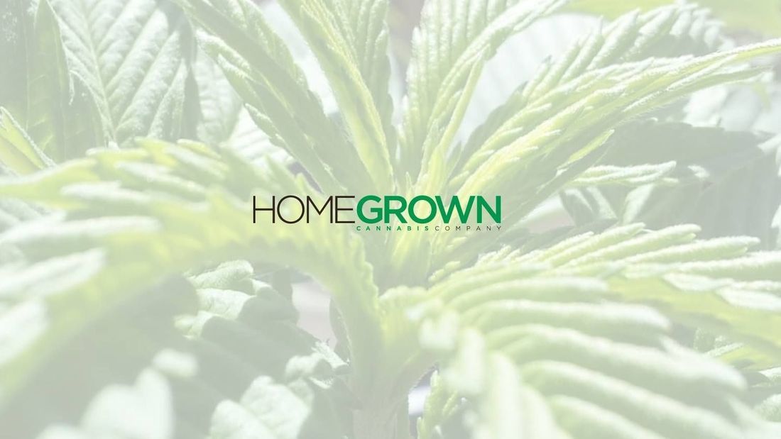 store photos Homegrown Cannabis Company