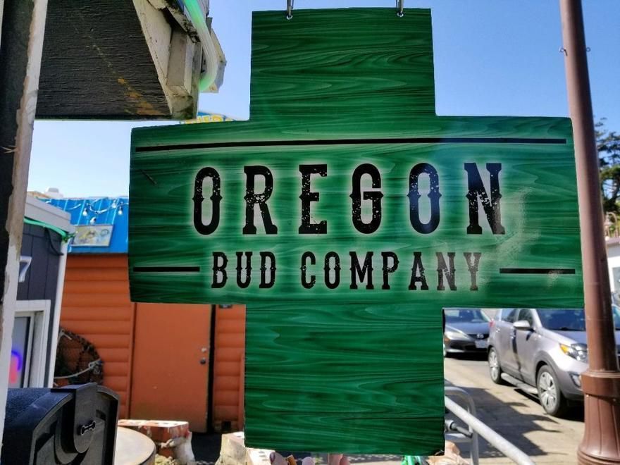 store photos Oregon Bud Company - Newport 2