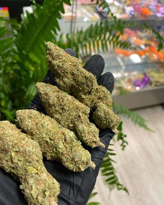 Paradise Found Cannabis Store Menu Cannabis Wiki