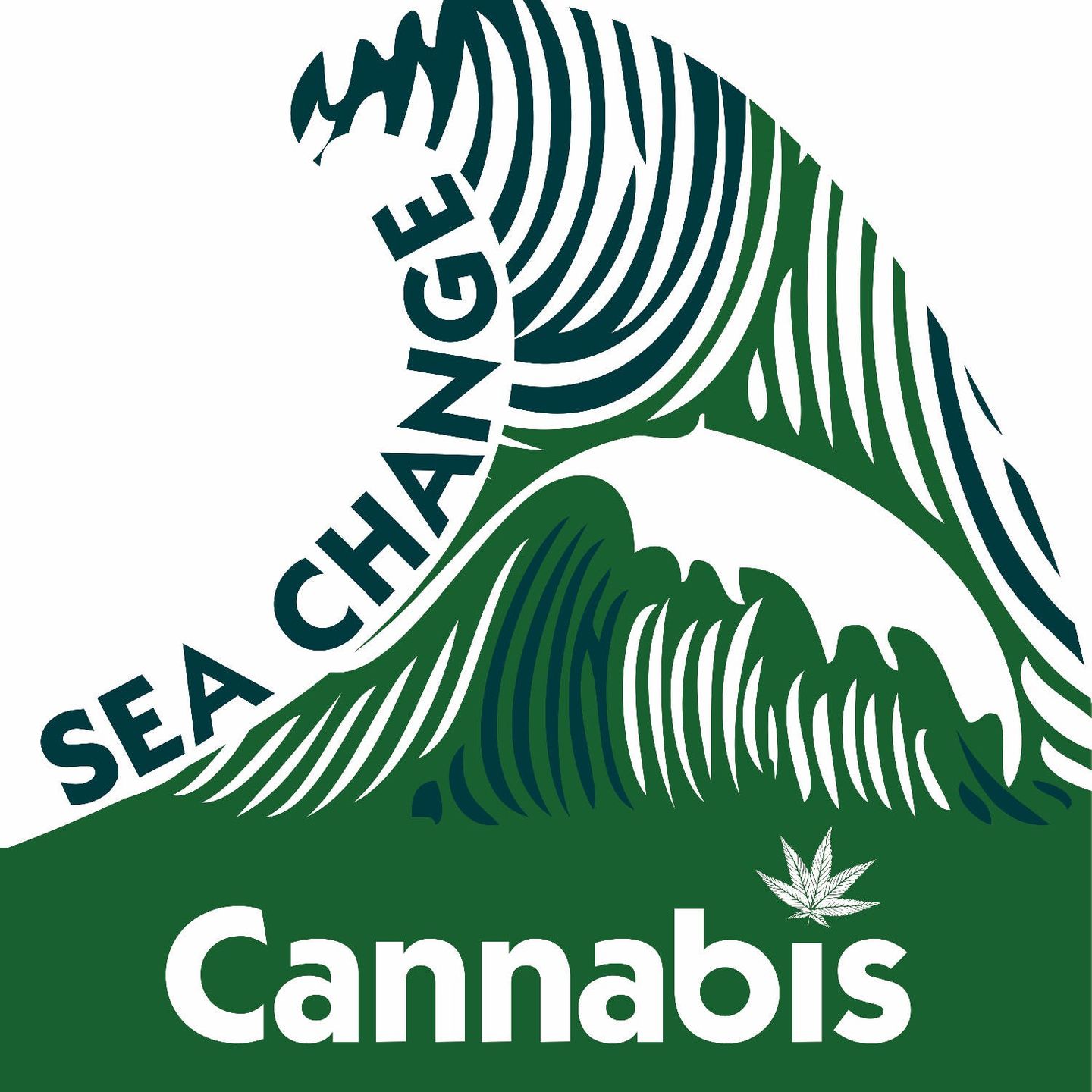 store photos Sea Change Cannabis