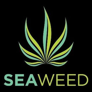 store photos Seaweed Cannabis - Edmonds