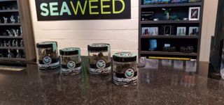 store photos Seaweed Cannabis - Edmonds 2