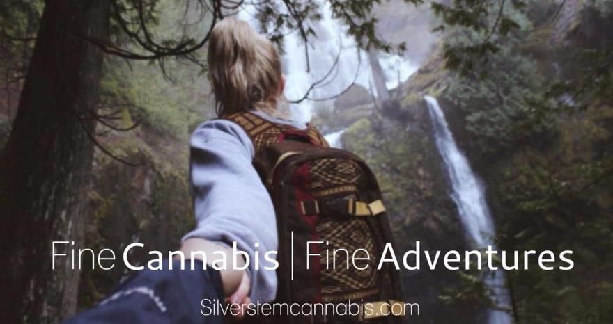 store photos Silver Stem Fine Cannabis - Portland Hollywood