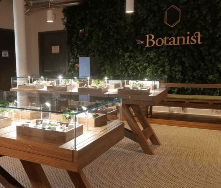 store photos The Botanist - Buffalo  6
