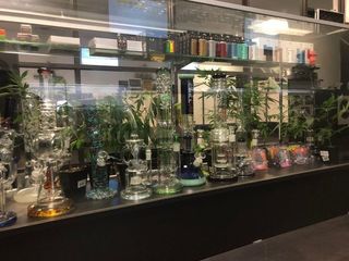 store photos The Cannabis Refinery