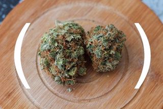 store photos Theorem Cannabis - Kenmore 6