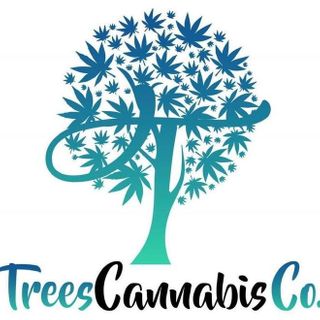 store photos Trees Cannabis Co.