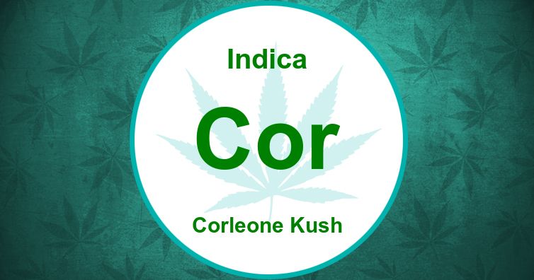 Corleone Kush Strain Cannabis Wiki