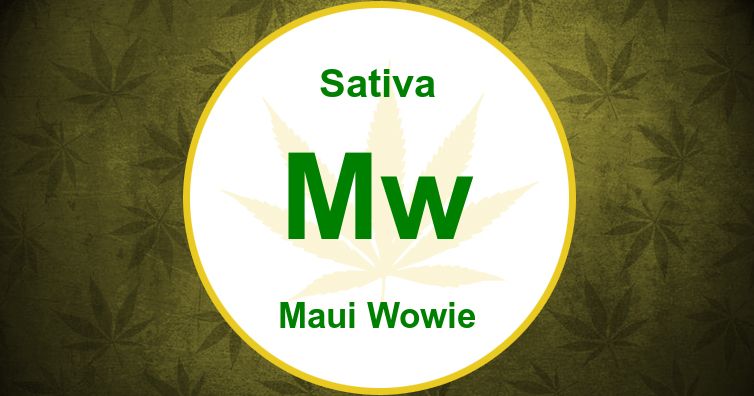 Maui Wowie