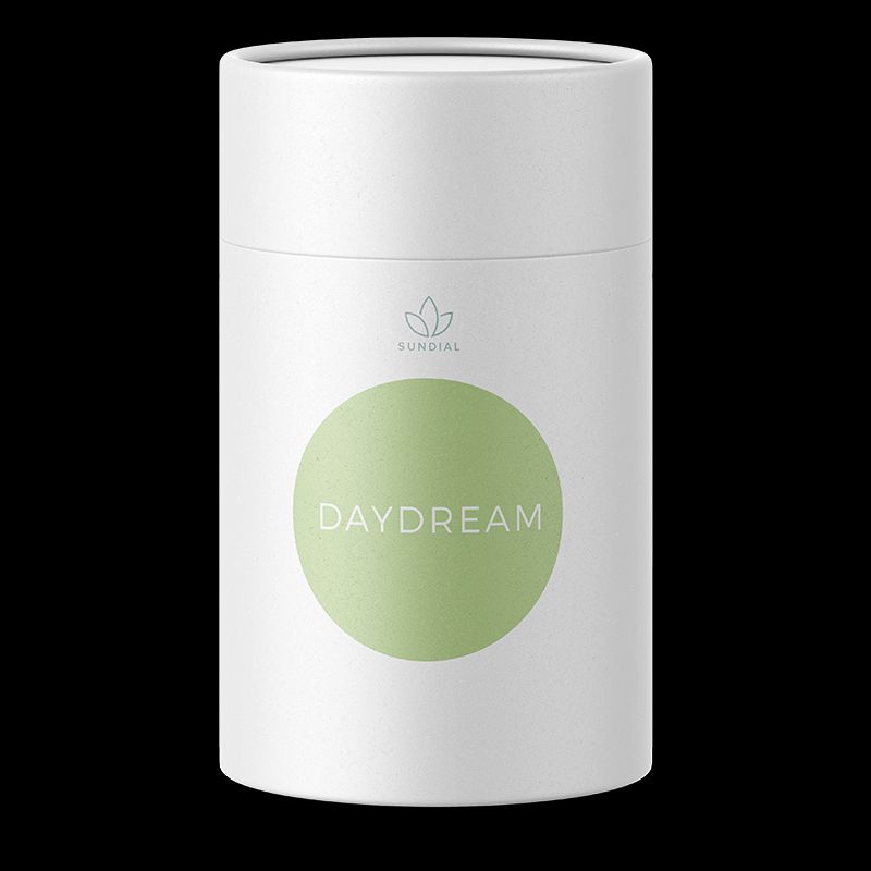feature image Daydream